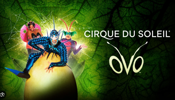 Cirque Du Soleil: OVO - VIP Packages